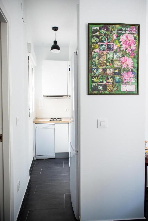 Appartamento Tourist House San Luis Siviglia